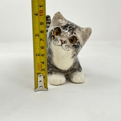 Winstanley Grey Tabby Head Cocked - Size 1