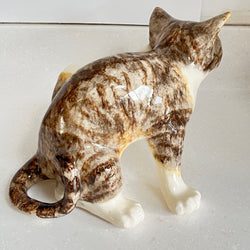 Winstanley Tabby Cat Scratching - Size 5