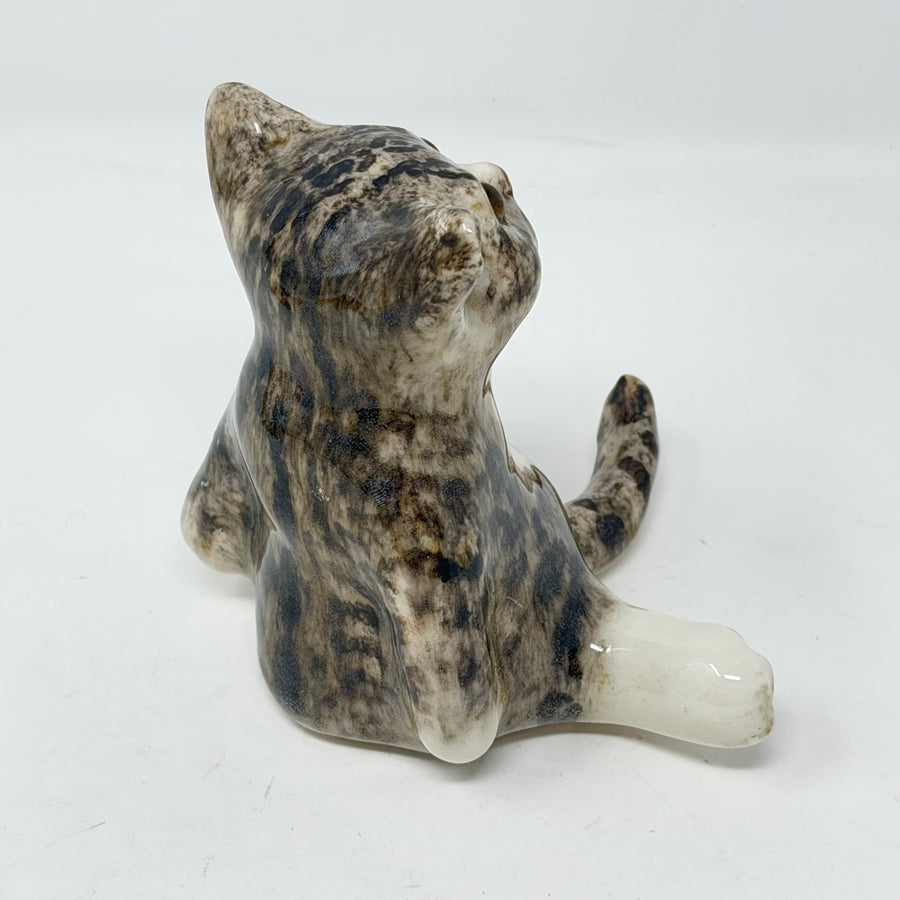 Winstanley Tabby Cat White Paws Size 2