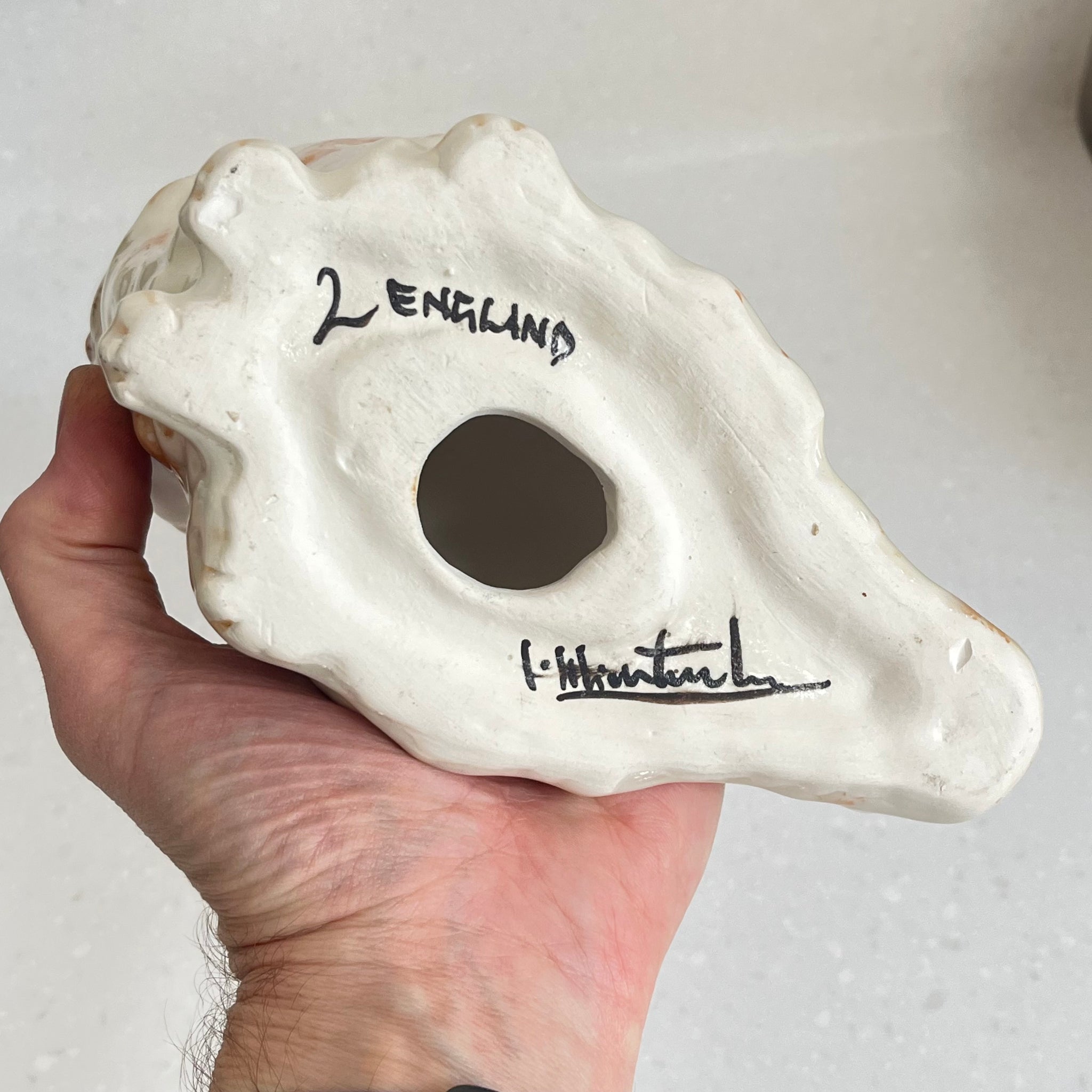 Winstanley Pale Long Haired Ginger Cat - Size 2