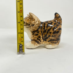 Winstanley Bengal / Tabby Cat - Size 1