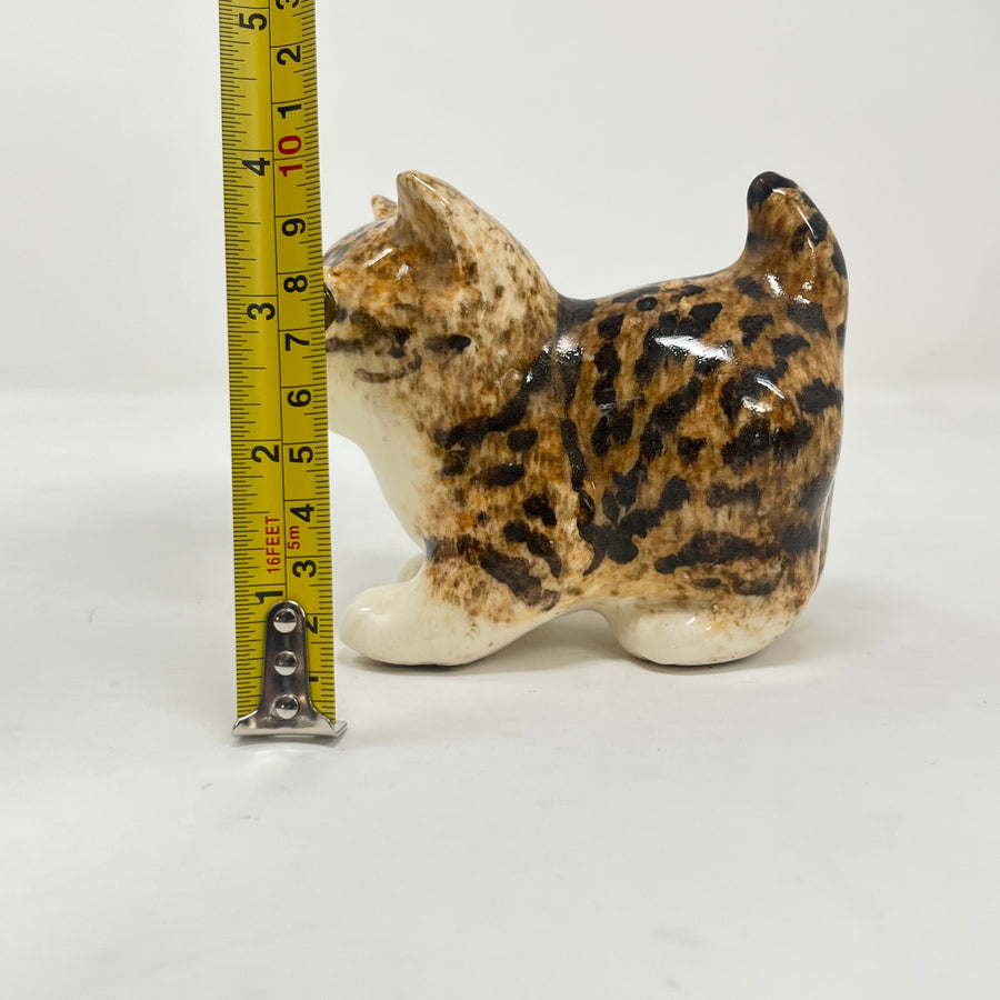 Winstanley Bengal / Tabby Cat - Size 1