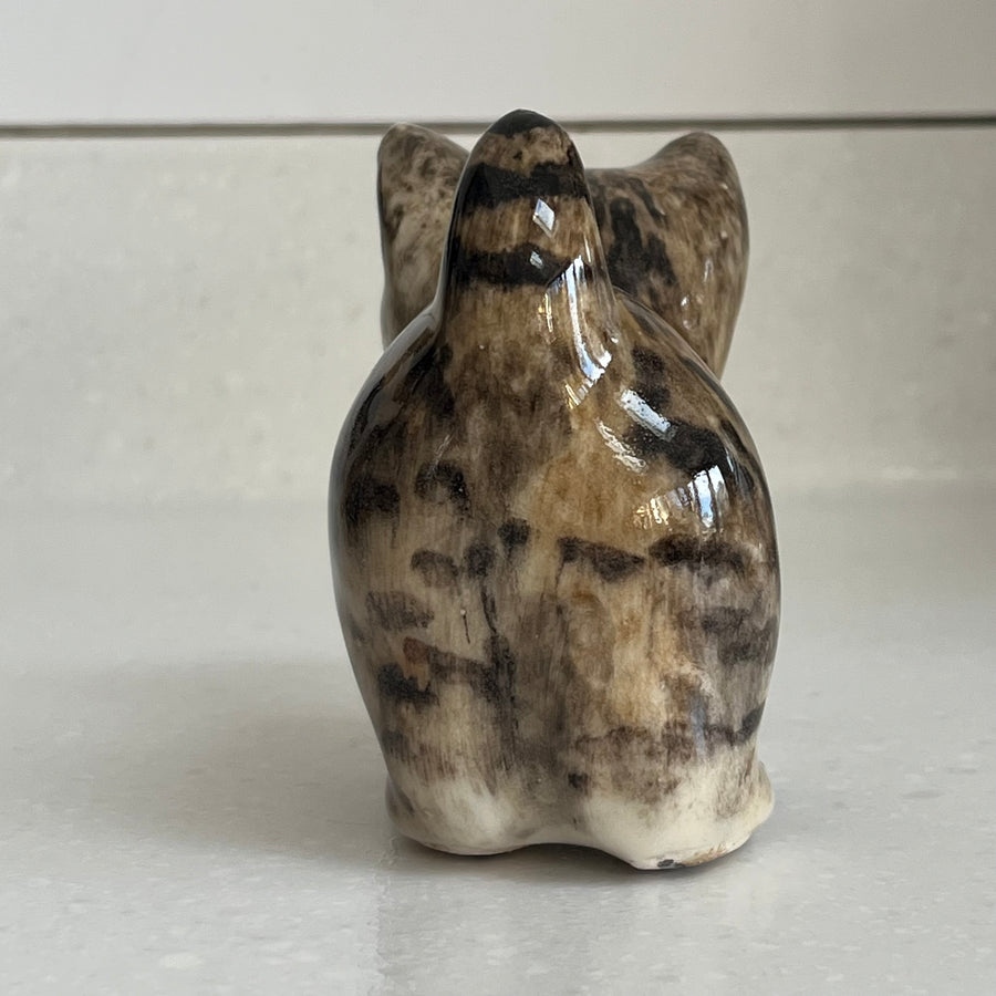 Winstanley Grey Tabby Kitten Standing - Size 1