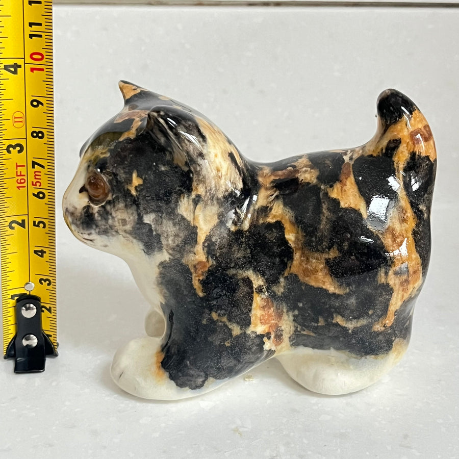 Winstanley Tortoiseshell Kitten - Size 1