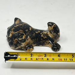 Winstanley Tortie Kitten - Size 1