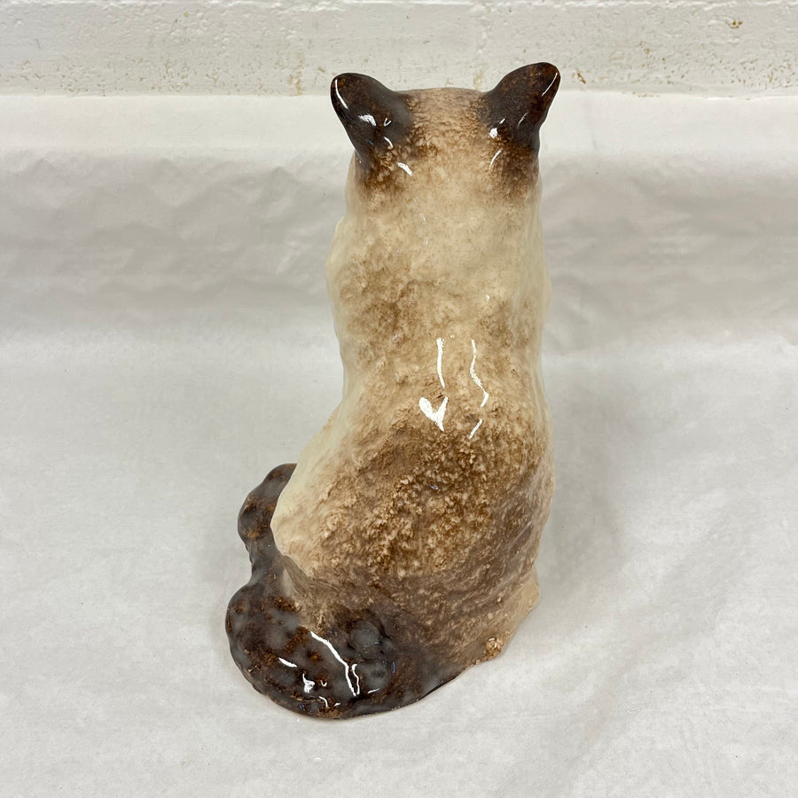 Winstanley Birman / Ragdoll Cat - Size 4