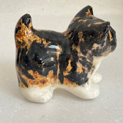 Winstanley Tortie and White Kitten - Size 1