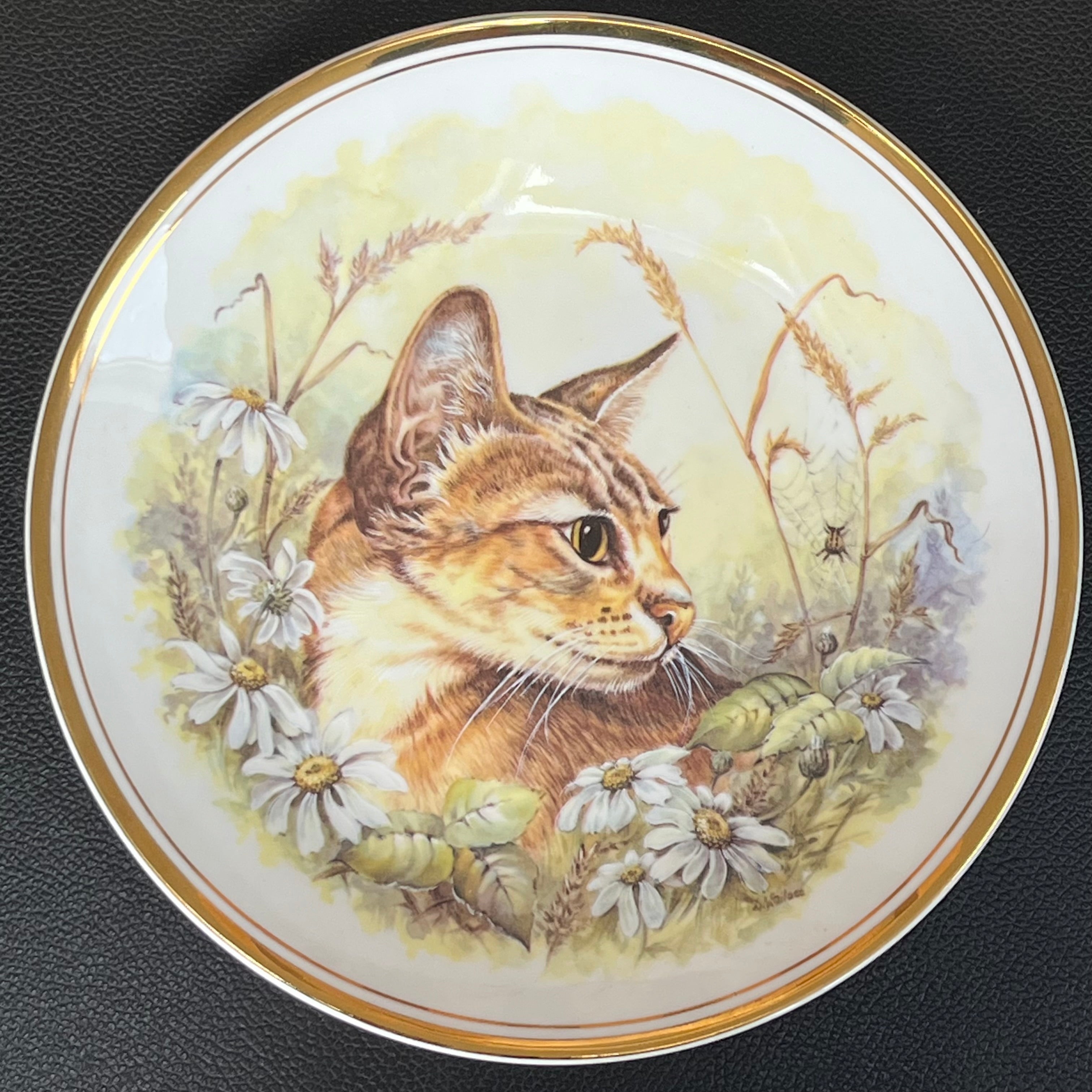 Vintage Royal Kent Bone China Plate Cat and Spider