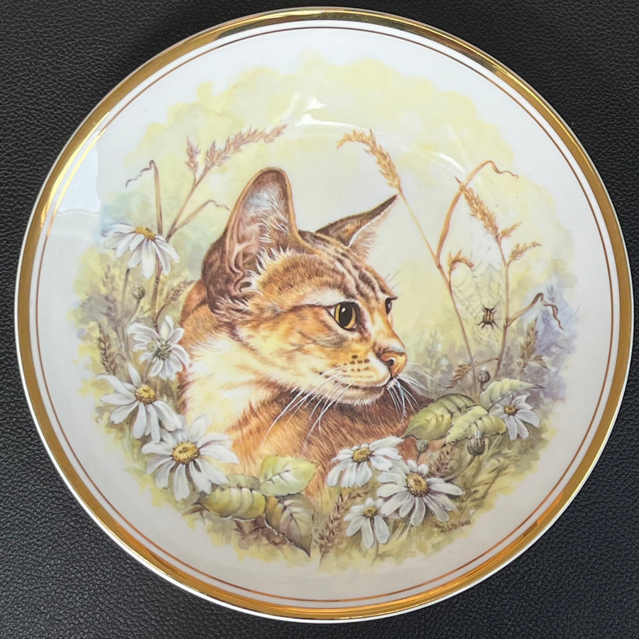 Vintage Royal Kent Bone China Plate Cat and Spider