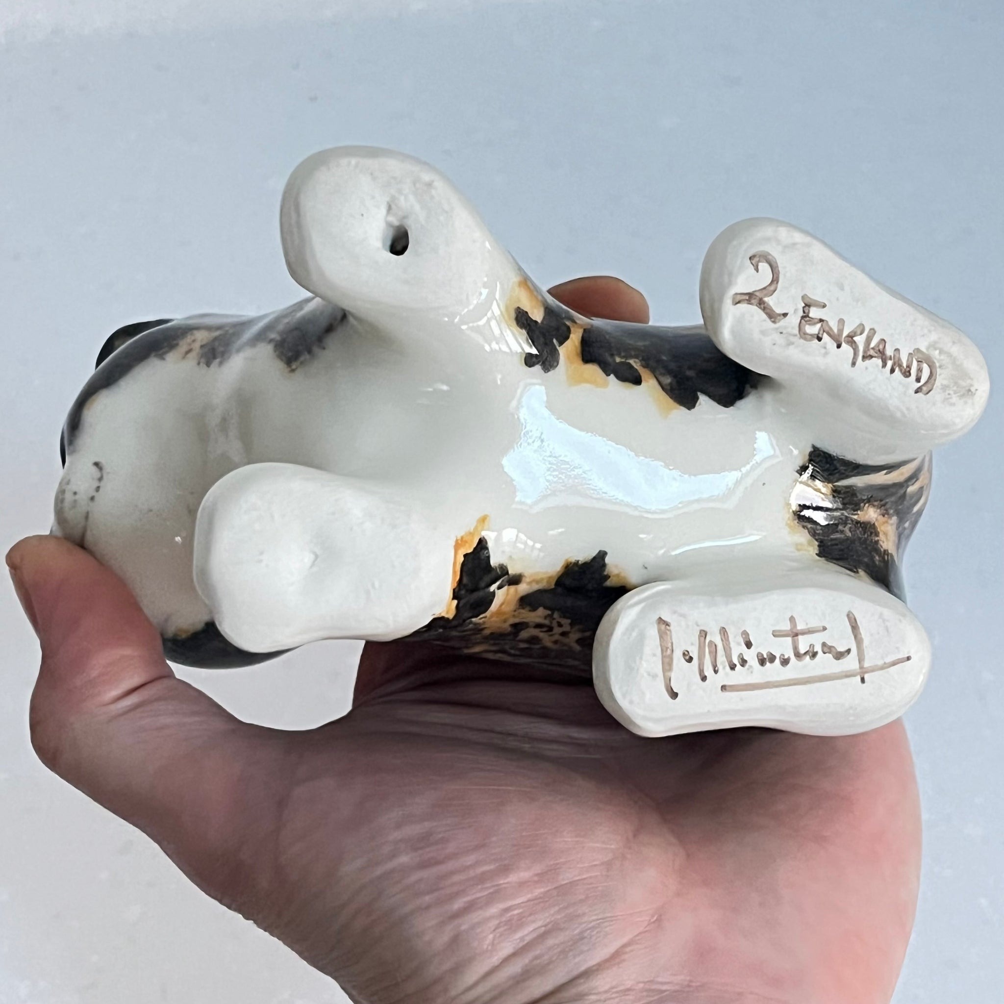 Winstanley Tortie Cat - Size 2