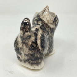 Winstanley Grey Tabby Head Cocked - Size 1