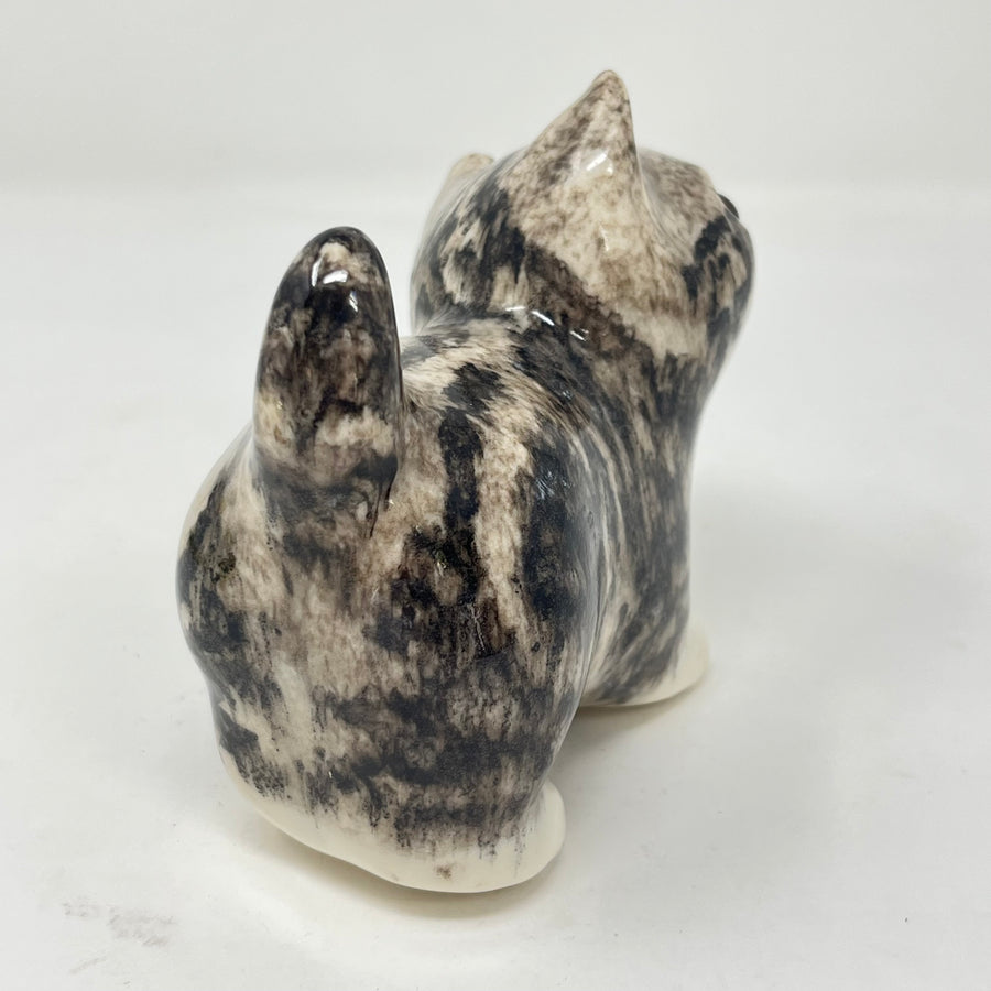 Winstanley Grey Tabby Head Cocked - Size 1