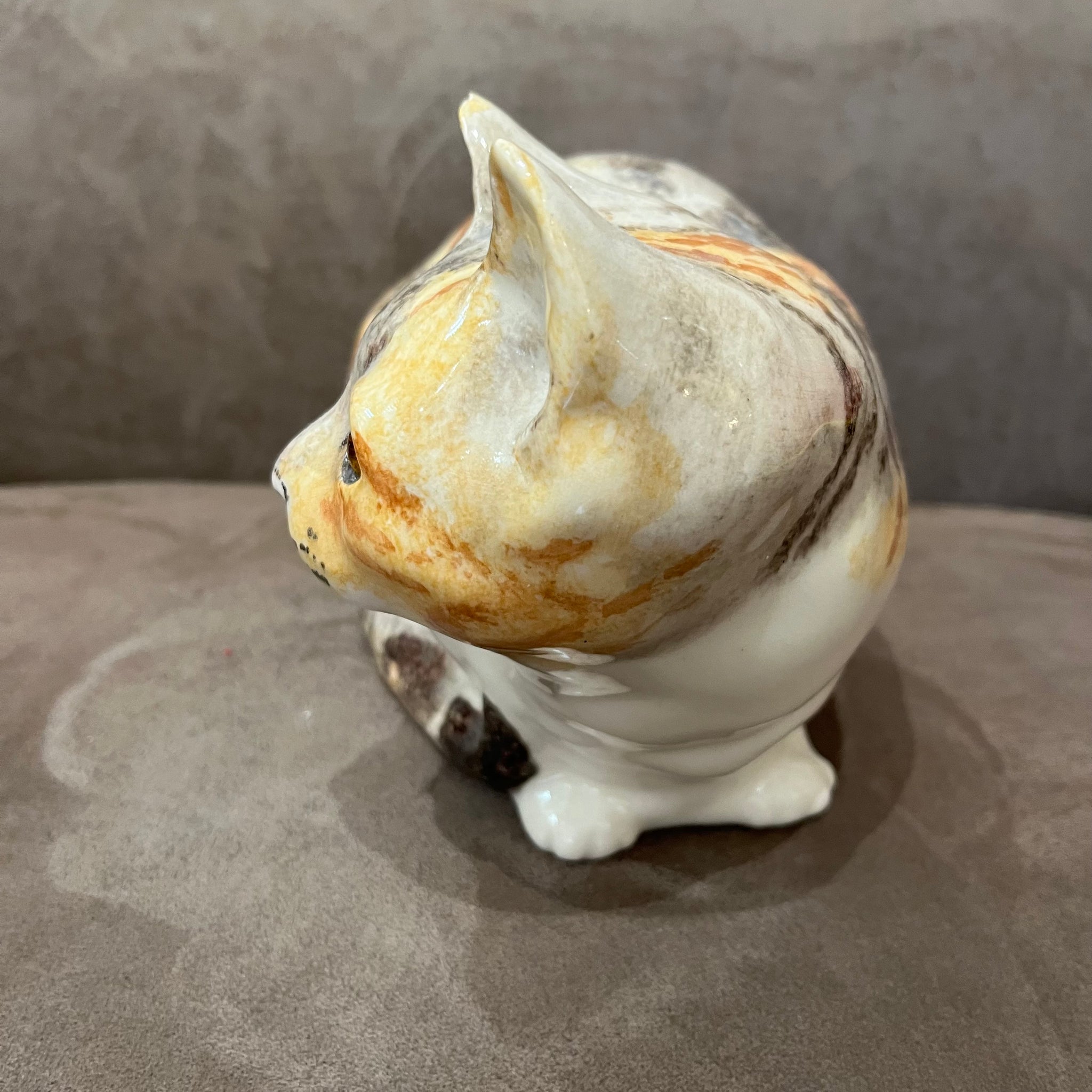 Winstanley Tortie & White - Size 5 - reduced due to small ear chip