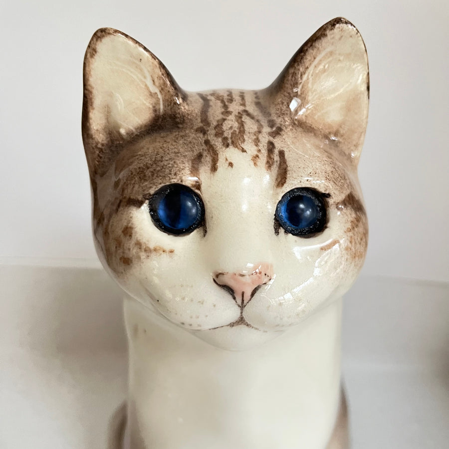 Winstanley Cat - Size 6