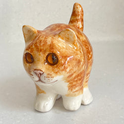 Winstanley Chubby Ginger Kitten - Size 1