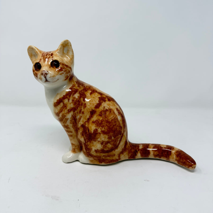 Winstanley Ginger & White Sitting Up Size 2