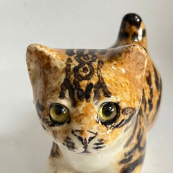 Winstanley Bengal Kitten - Size 1