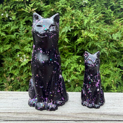 Holographic Black Cat