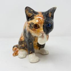 Winstanley Tortie Cat Licking Paw - Size 3