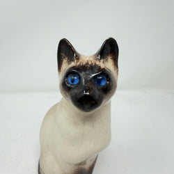 Winstanley Siamese Cat Sitting Up Size 2