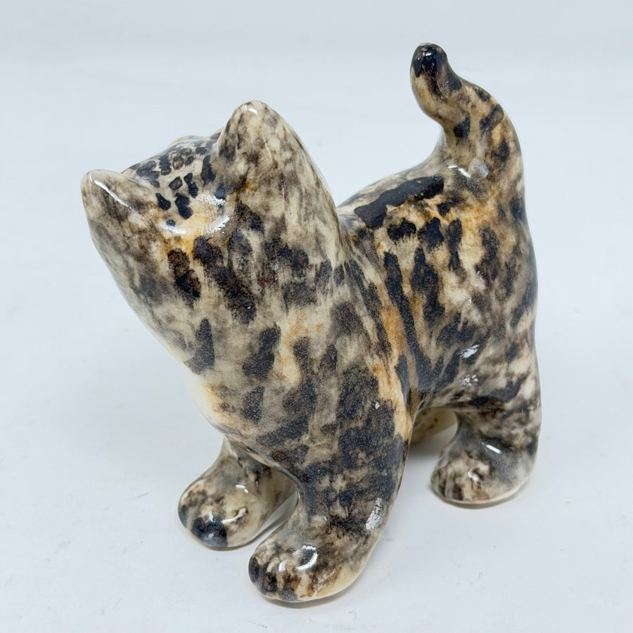 Winstanley Head Turned Tabby Cat - Size 1