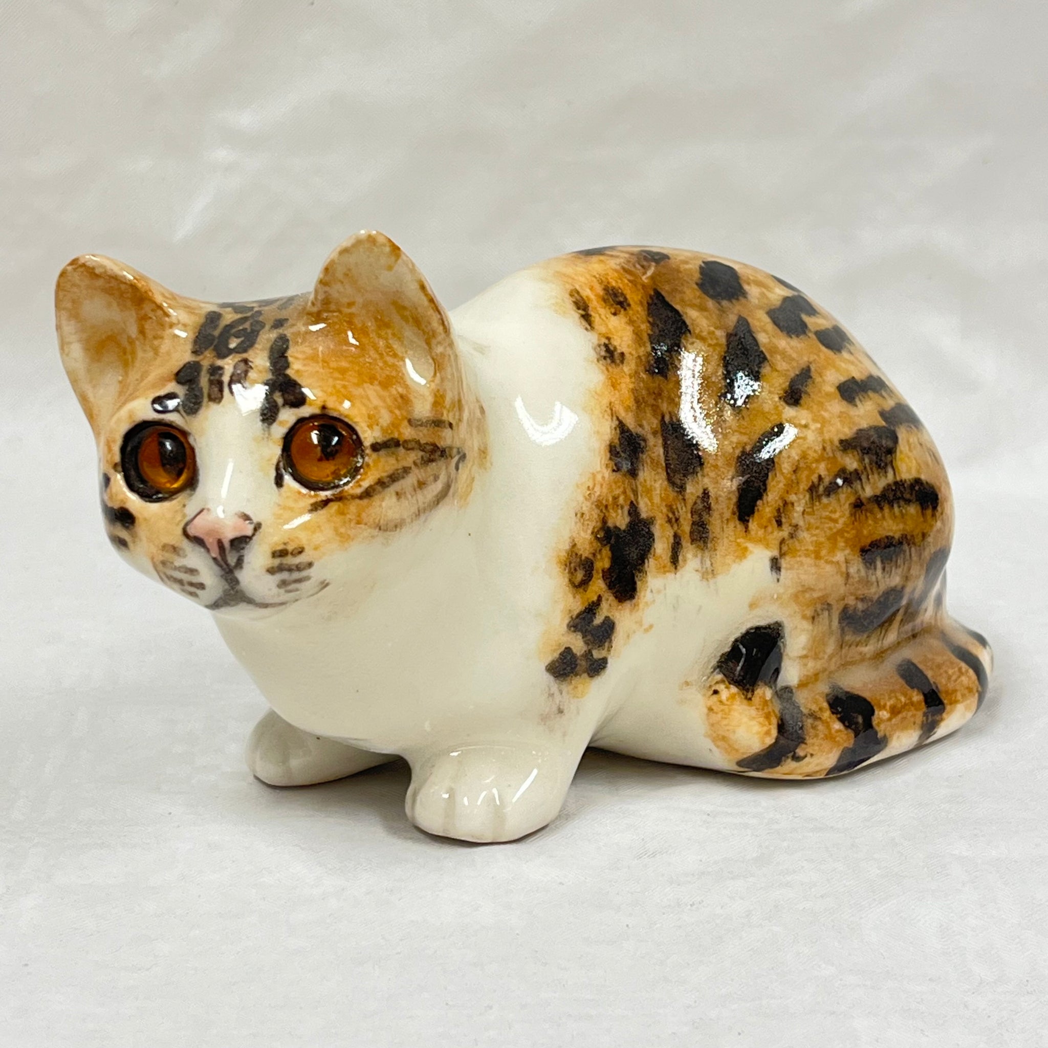 Winstanley Tortie & White Cat Crouching - Size 2