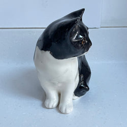 Winstanley Tuxedo Cat Sitting  - Size 3