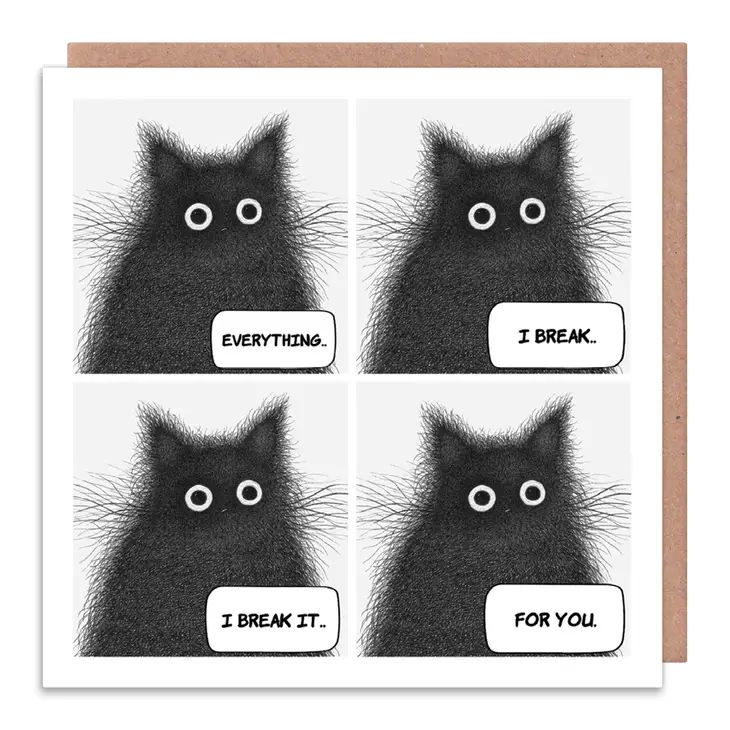 Everything I Break Greetings Card Black Cat Bryan Adams Song
