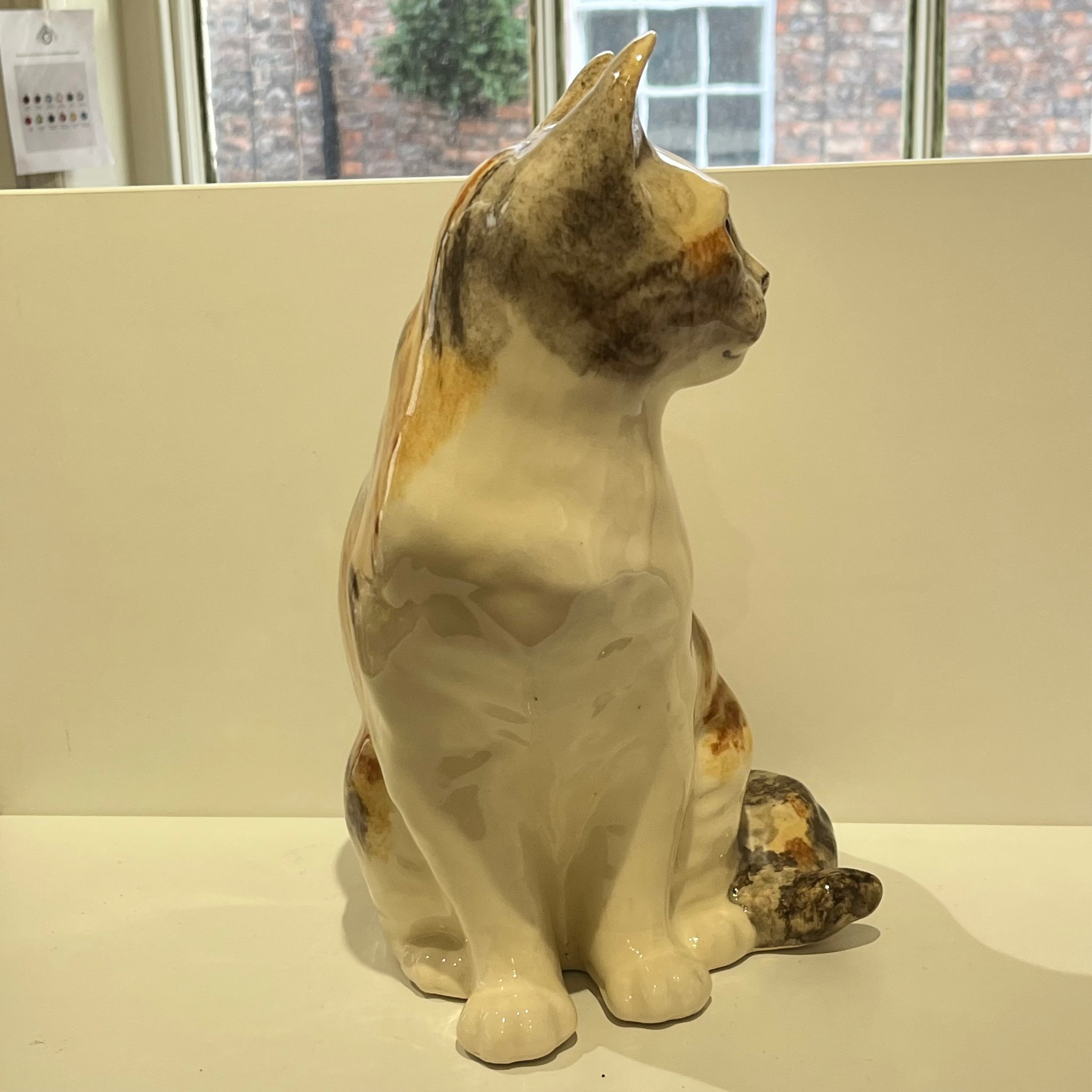 Tortie & White Winstanley Cat - Size 6