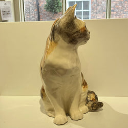 Tortie & White Winstanley Cat - Size 6