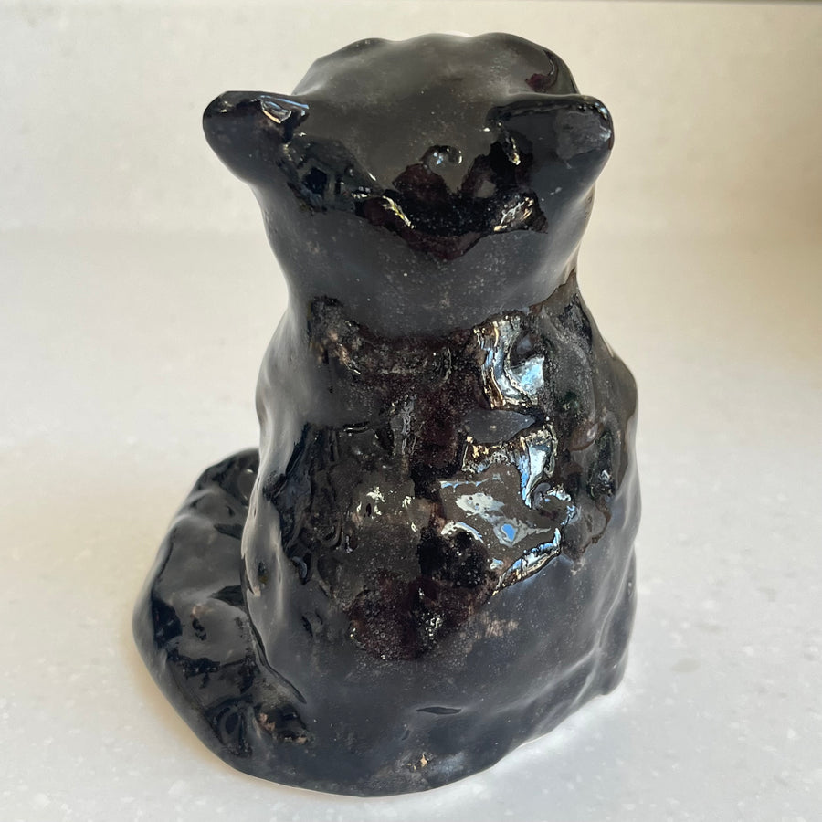 Winstanley Black and White Kitten - Size 1