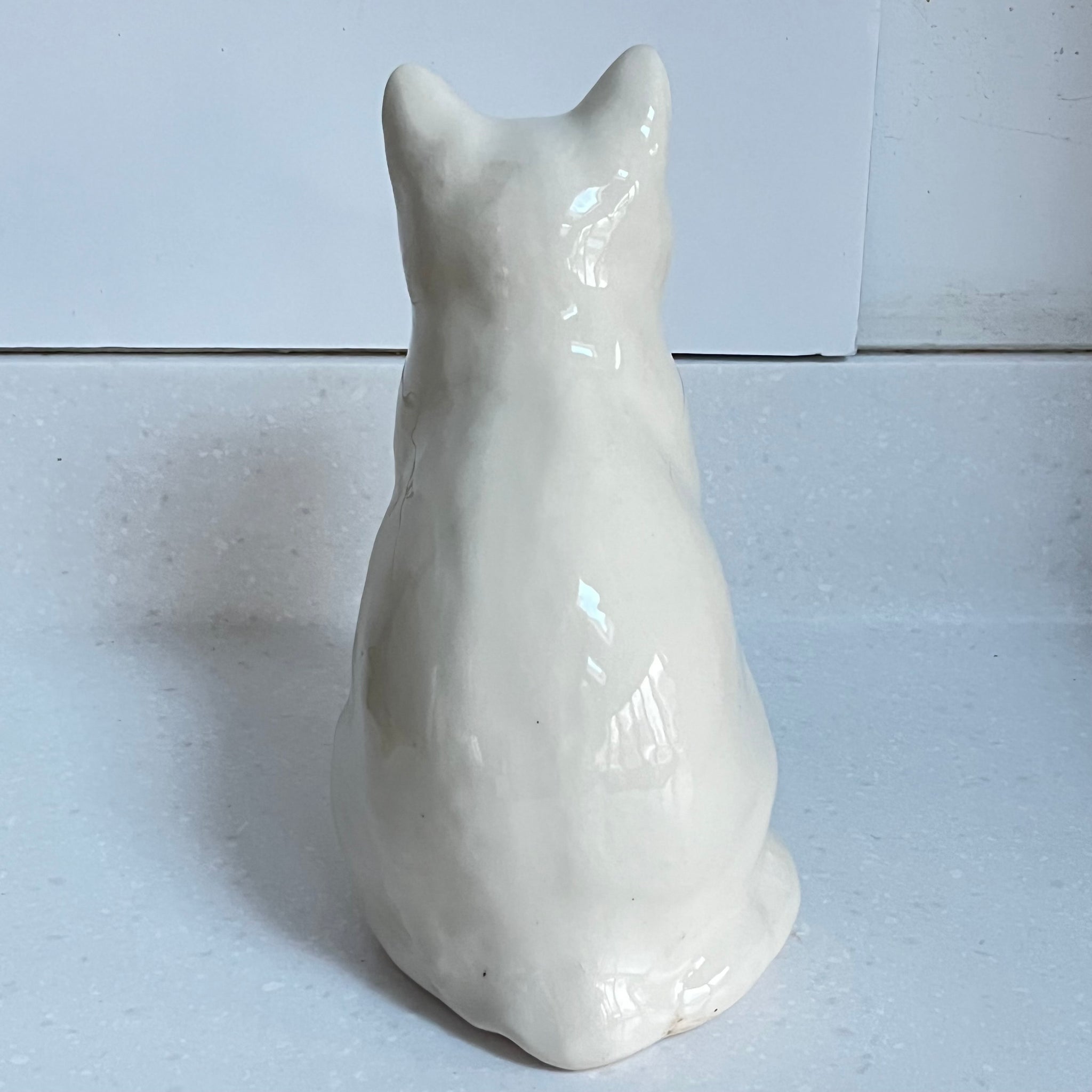 Winstanley White Cat, Blue Eyes - Size 3