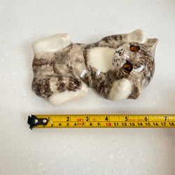 Winstanley Grey Tabby on Back - Size 2