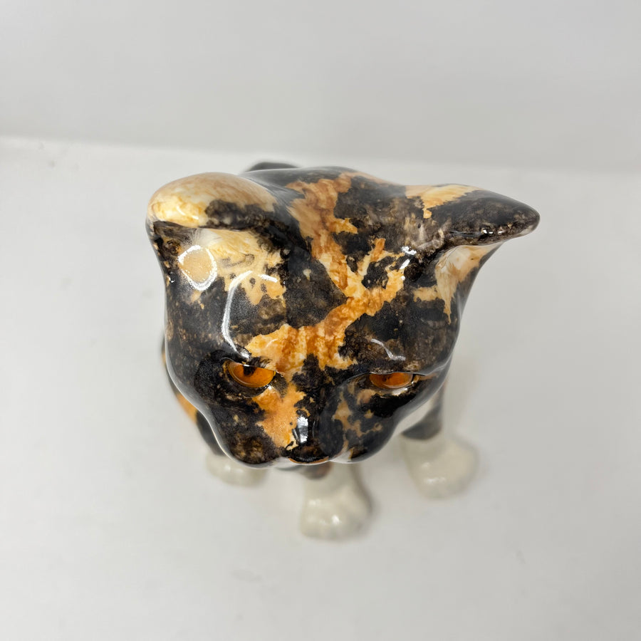 Winstanley Cat Tortoiseshell Size 8
