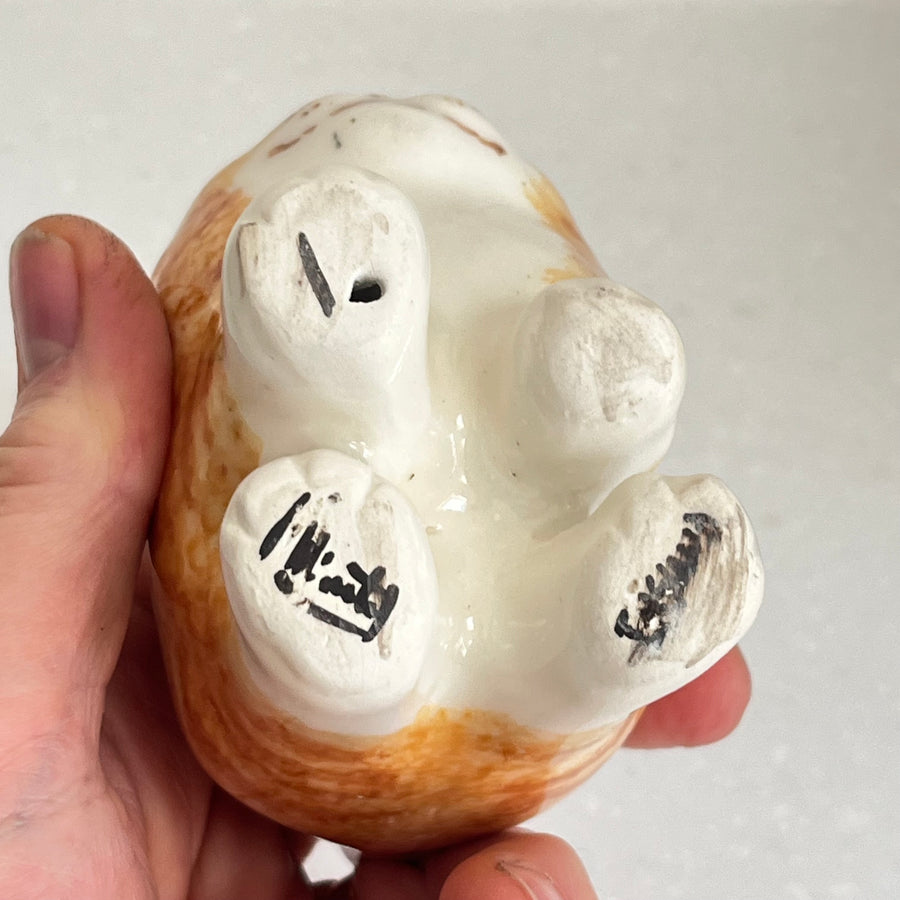 Winstanley Chubby Ginger Kitten - Size 1