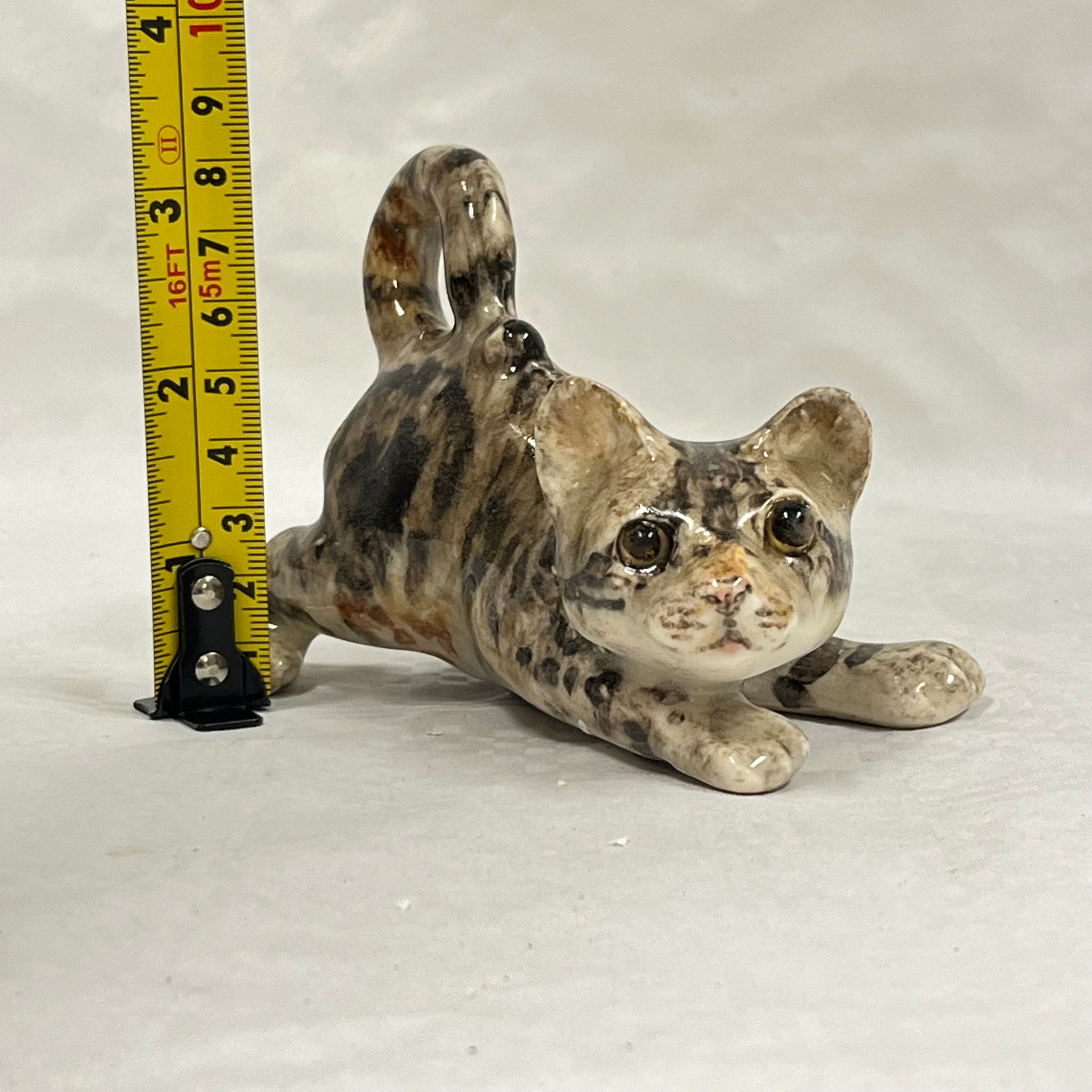 Winstanley Playful Tabby Kitten - Size 1