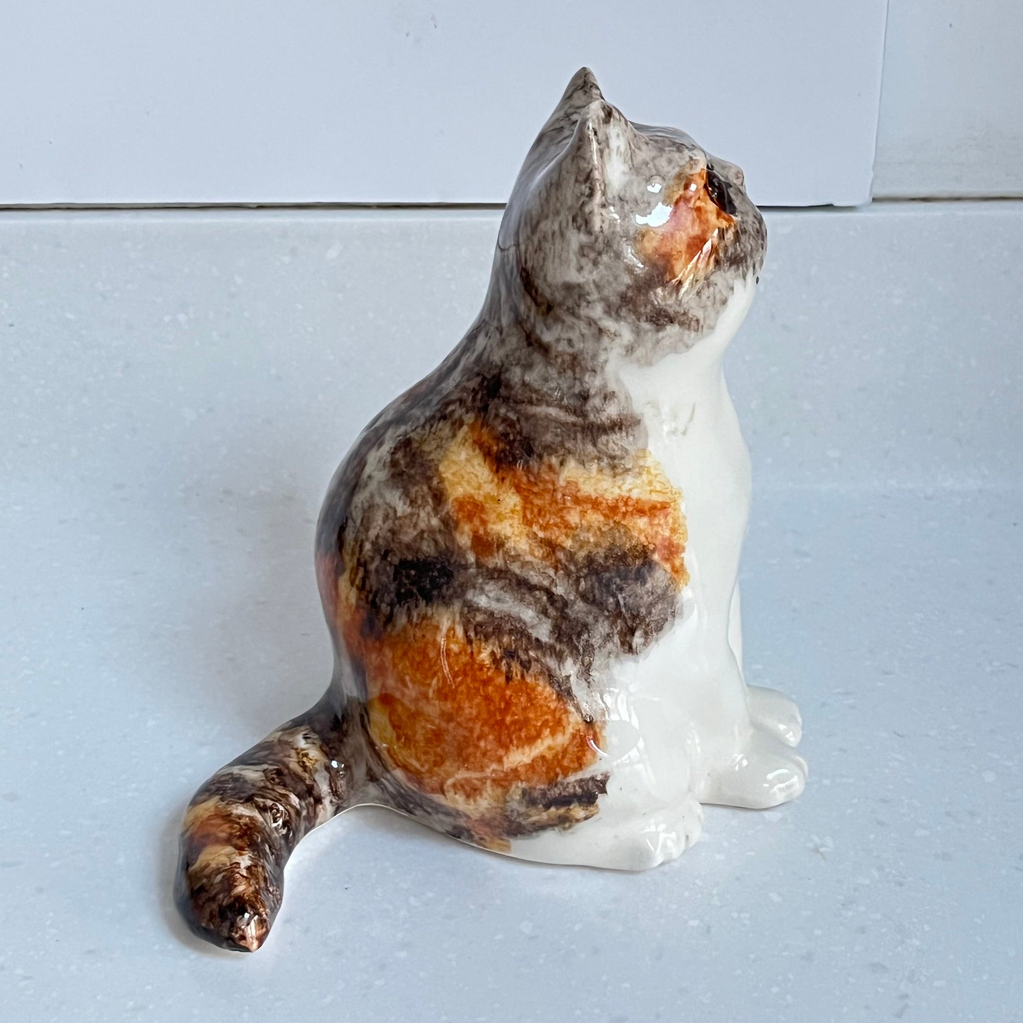 Winstanley Chubby Tortie - Size 3