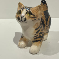 Tortie / Tabby Winstanley Cat - Size 1