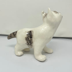 Winstanley White & Grey Tabby Cat - Size 3