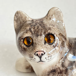 Winstanley Playful Grey Tabby - Size 1