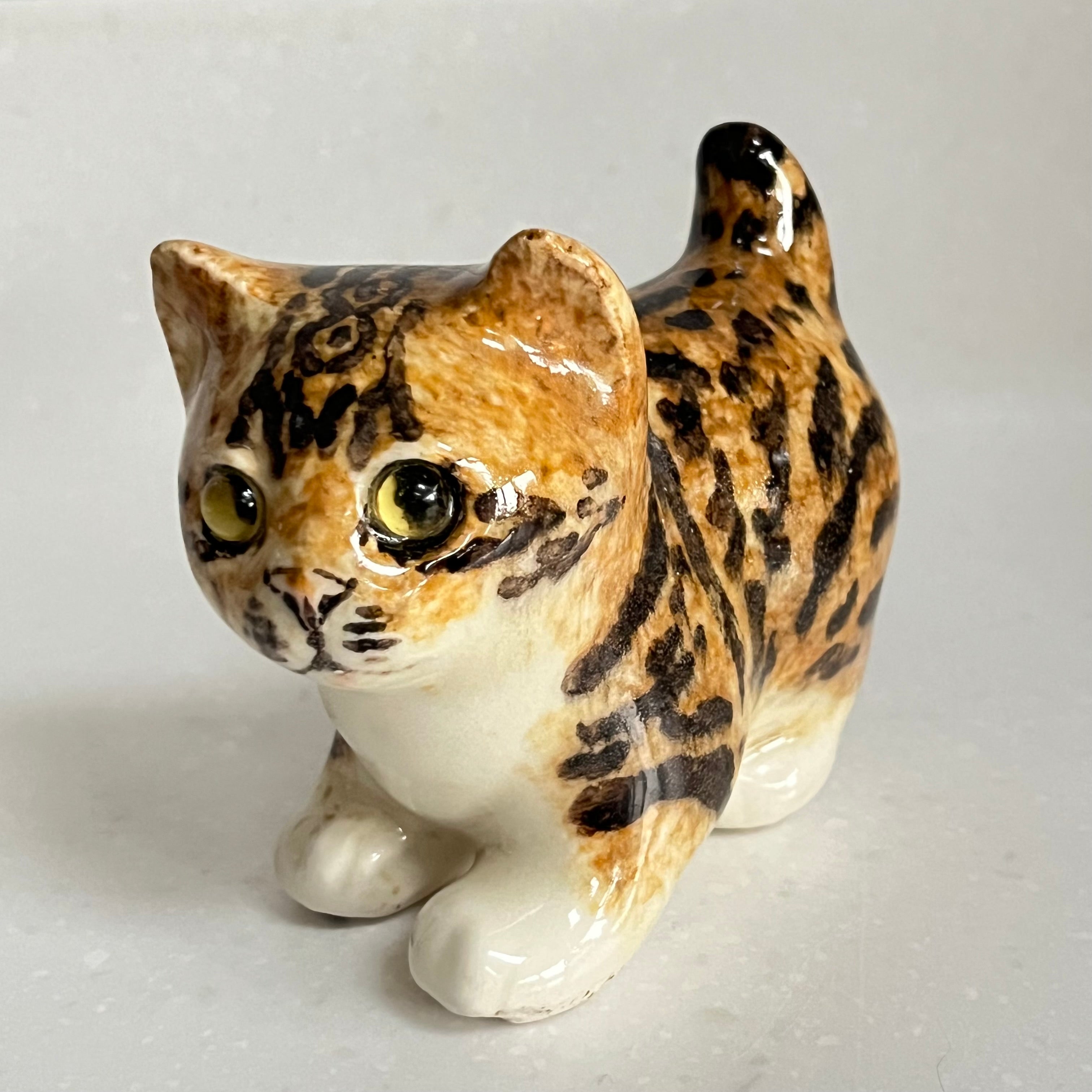 Winstanley Bengal Kitten - Size 1