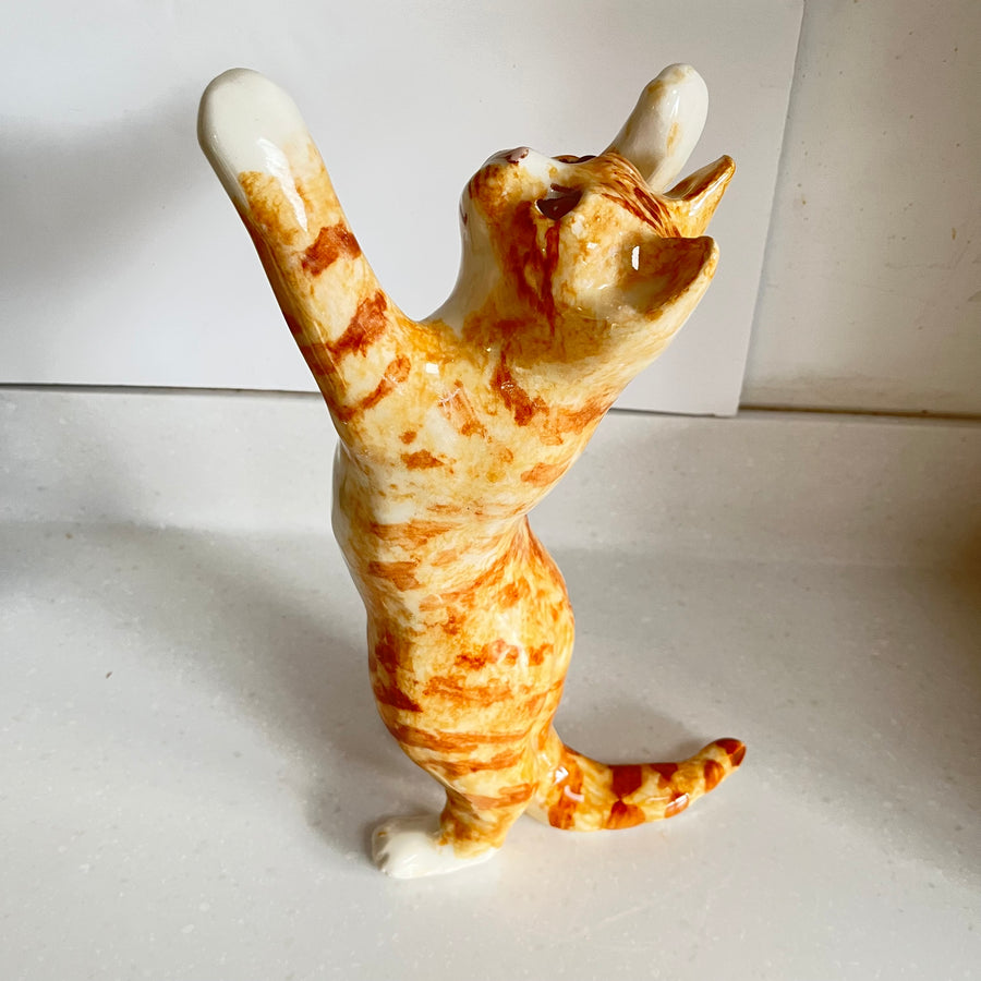 Winstanley Ginger Cat Playing - Size 5