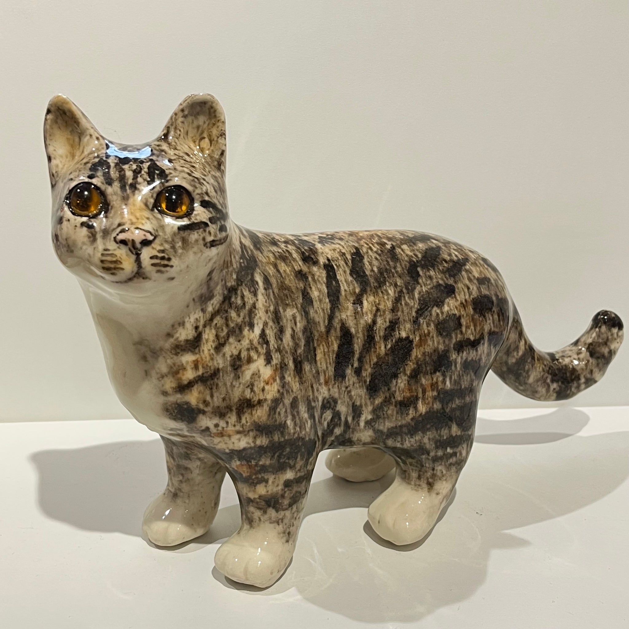 Tabby & White Winstanley Cat - Size 4