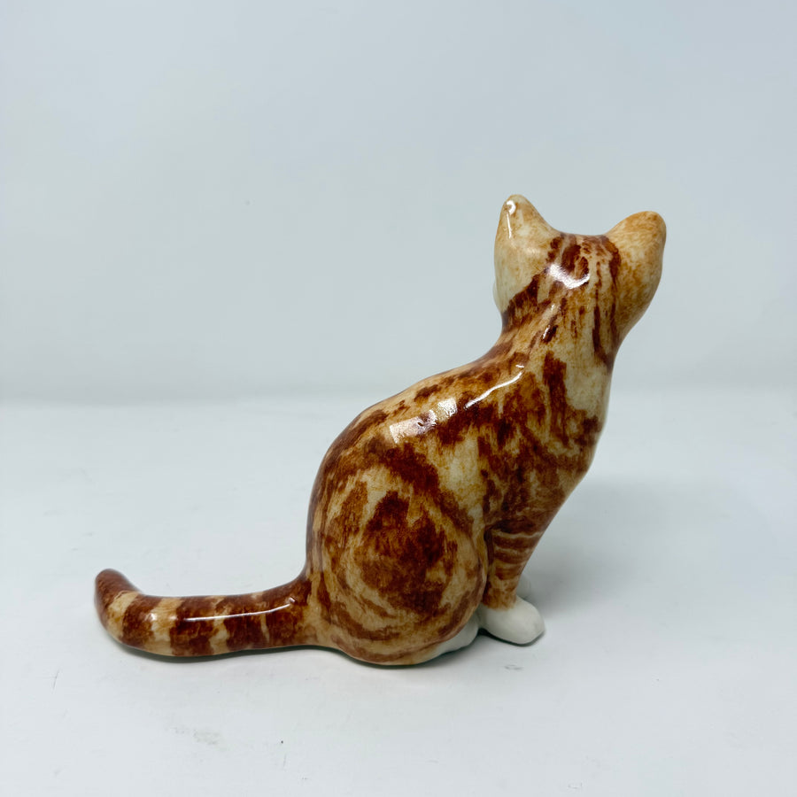 Winstanley Ginger & White Sitting Up Size 2