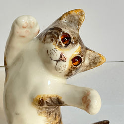 Winstanley Tabby Cat Dancing - Size 4