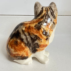 Winstanley Tortie Cat Sitting - Size 4