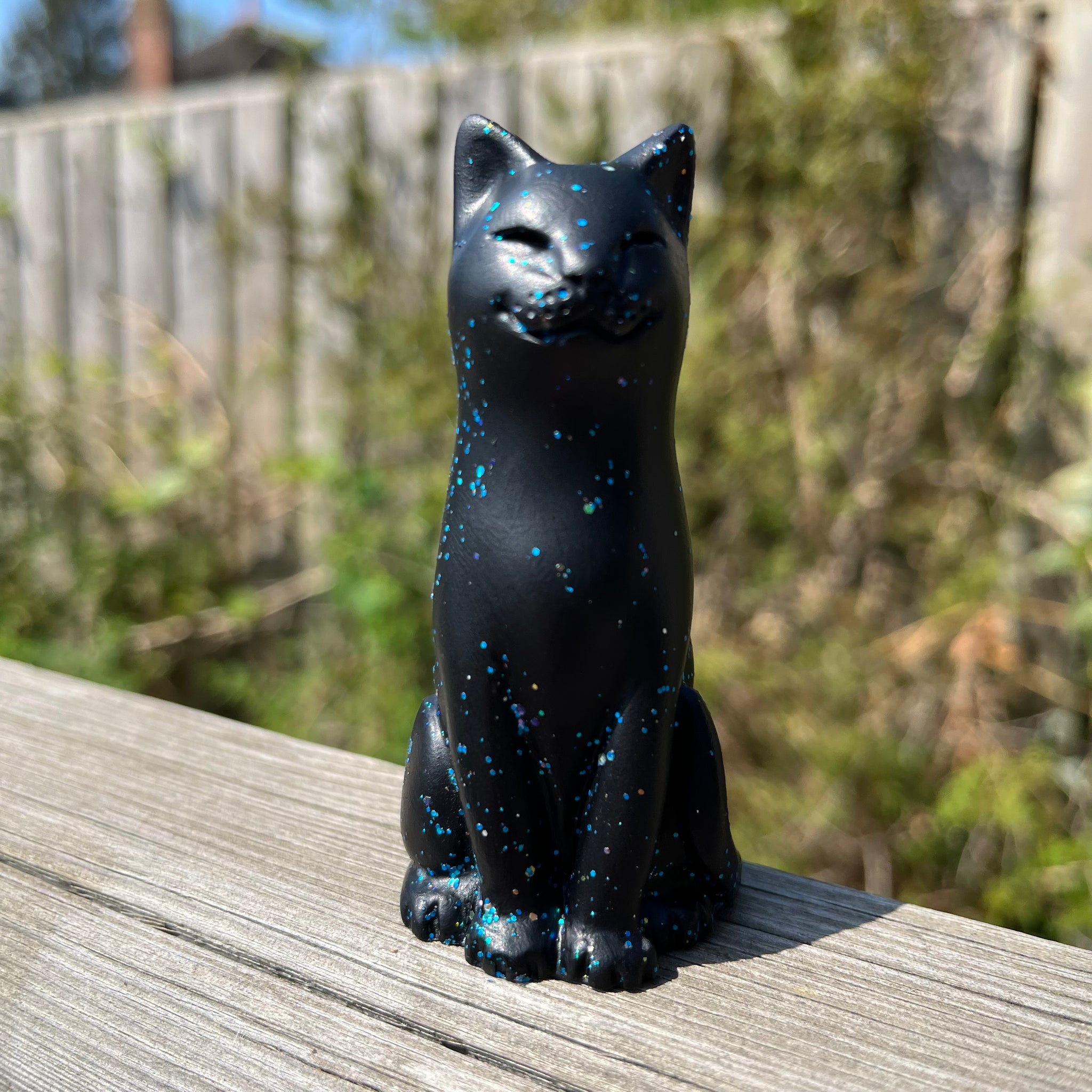 Holographic Black Cat