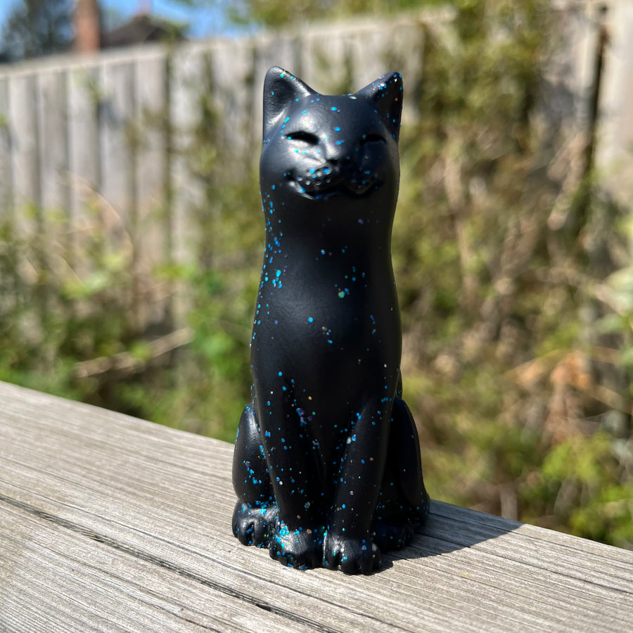 Holographic Black Cat
