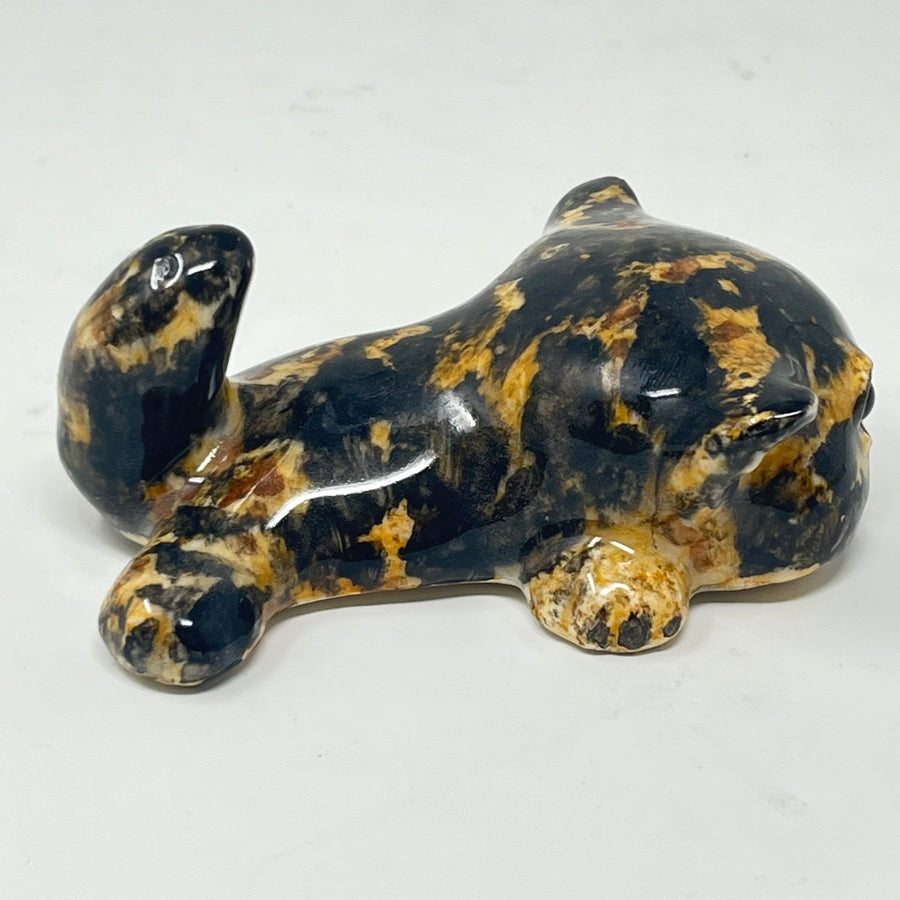 Winstanley Tortie Kitten - Size 1