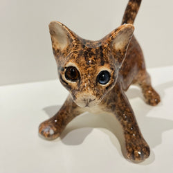 Sandy Brown Winstanley Cat - Size 2